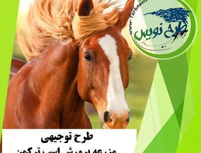 عکس اسب کره طوطی