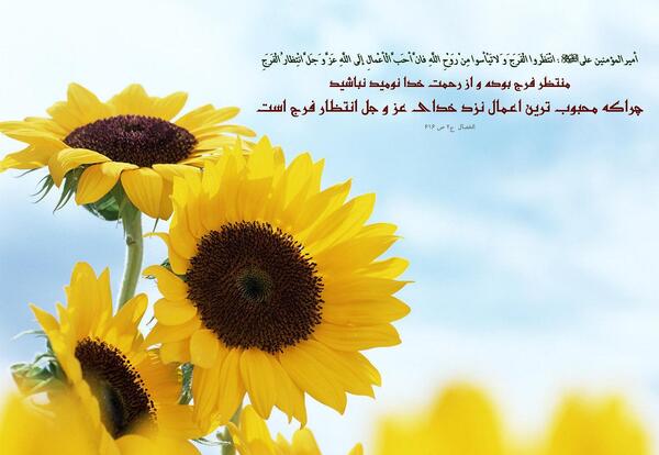 عکس امام علی برای تصویر زمینه کامپیوتر