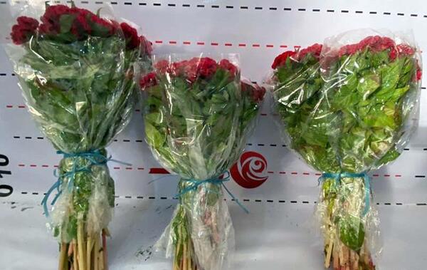 عکس های گل تاج خروس