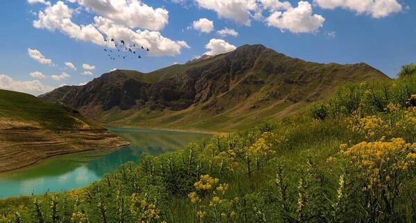 عکس عکس طبیعت