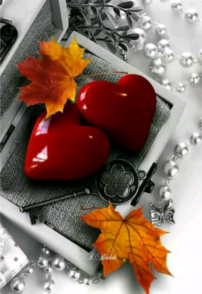 عکس های پس زمینه عاشقانه