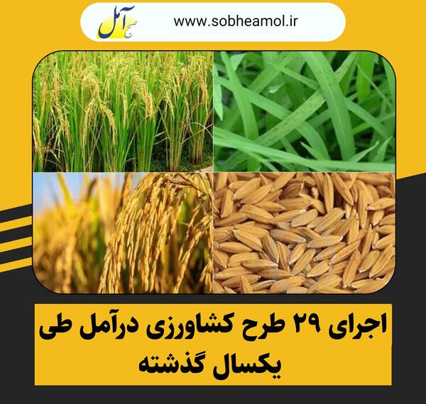 عکس روح الله سبز لات قم