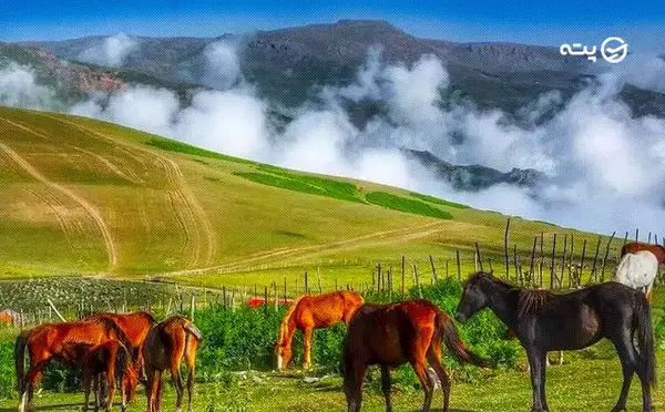 عکس هایی از طبیعت تالش