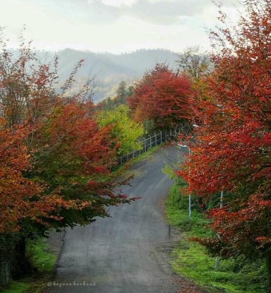 عکس هایی از طبیعت تالش