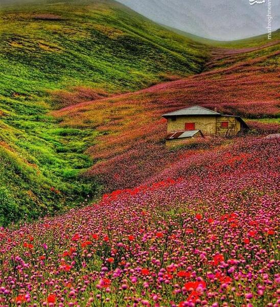 عکس هایی از طبیعت تالش