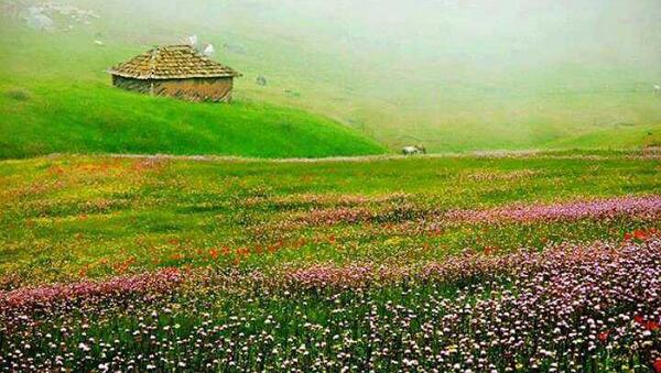عکس هایی از طبیعت تالش