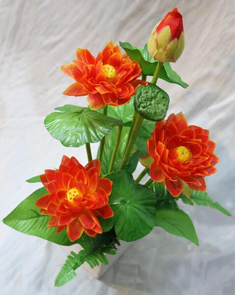 عکس گل نیلوفر زیبا