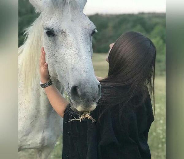 عکس دختر با اسب زیبا برای پروفایل
