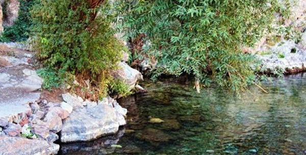 عکس طبیعت جذاب تهران