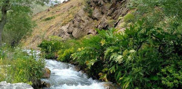 عکس طبیعت جذاب تهران