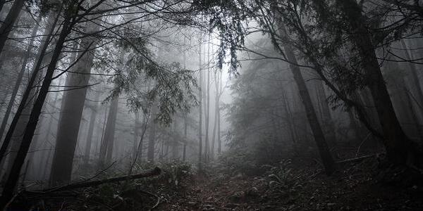 عکس های ترسناک از طبیعت
