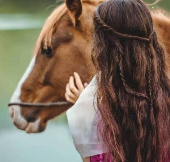 عکس اسب سفید زیبا برای پروفایل