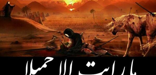 عکس اسب امام حسین و حضرت زینب