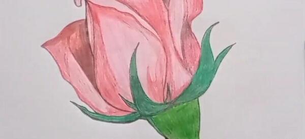 عکس گل برای نقاشی ساده