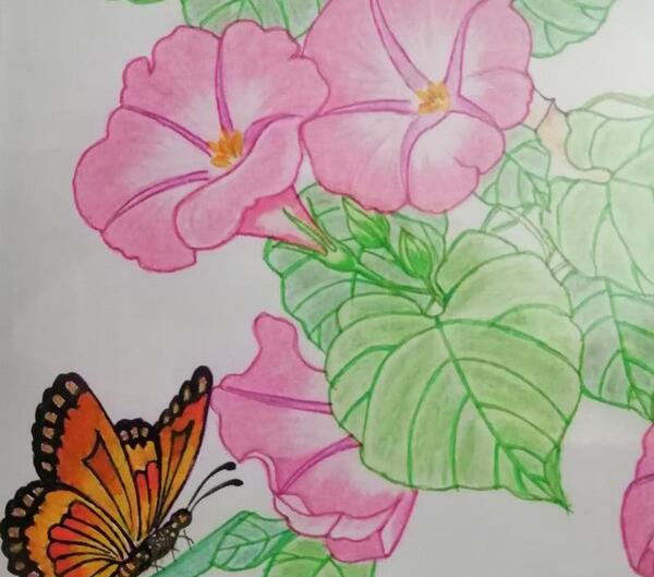 عکس گل برای نقاشی ساده