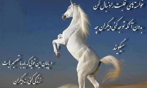 عکس پروفایل اسب سفید