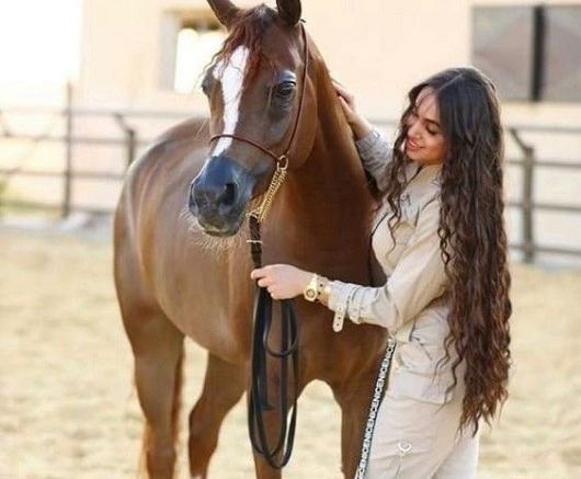 عکس پروفایل اسب سفید
