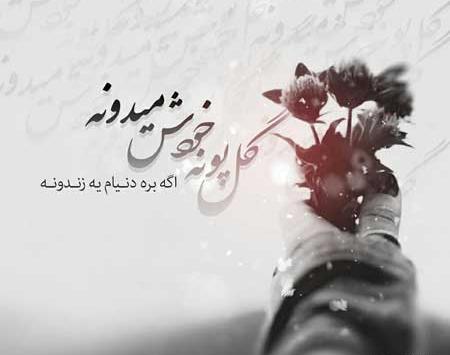 عکس گل پونه برای پروفایل