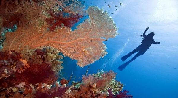 عکس دریای سیاه ترسناک