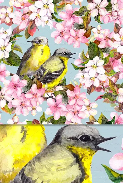 عکس گل و بلبل نقاشی