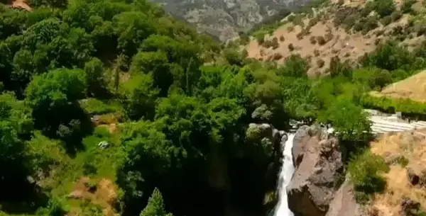 عکس طبیعت متحرک جدید