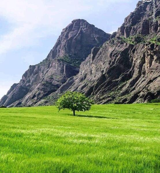 عکس طبیعت زمستان ایران