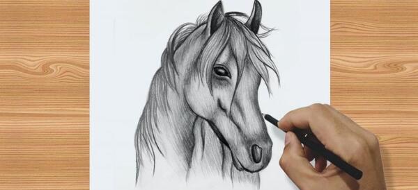 عکس اسب برای طراحی سیاه قلم