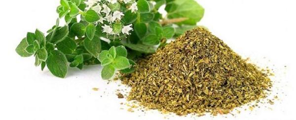 عکس از گل آویشن