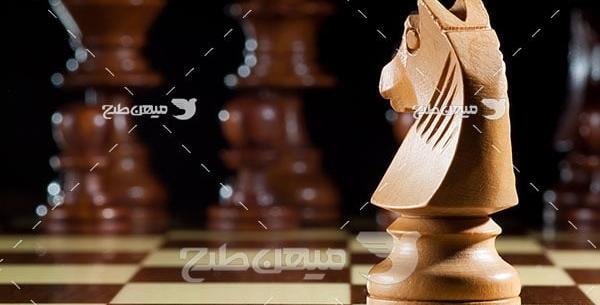 عکس اسب در شطرنج