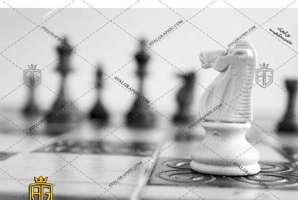 عکس اسب در شطرنج