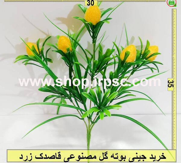 عکس گل قاصدک زرد