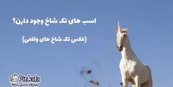 عکس اسب تک شاخ واقعی و بالدار