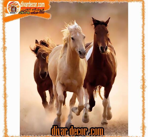 عکس چند اسب در حال دویدن
