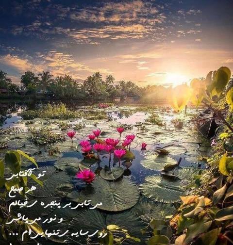 عکس آسمان طلوع آفتاب