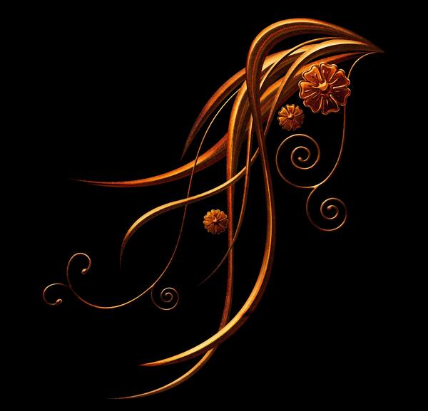 عکس گل پس زمینه مشکی