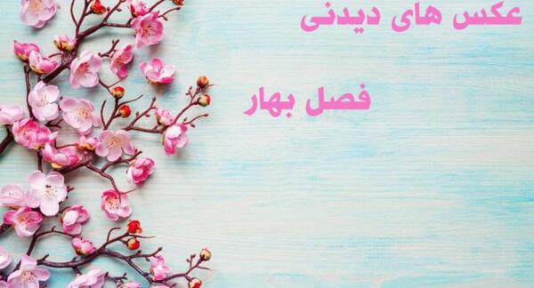 عکس های زیبا از طبیعت و گل ها