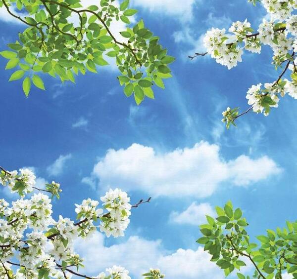 عکس های نقاشی آسمان