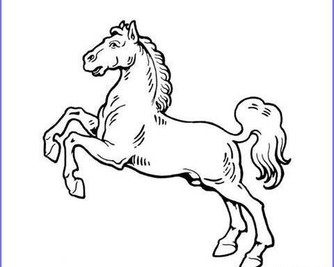عکس اسب برای نقاشی کودکانه