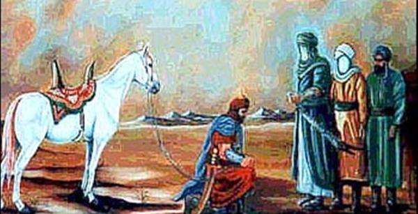 عکس اسب امام حسین ذوالجلال