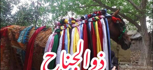 عکس اسب امام حسین ذوالجلال