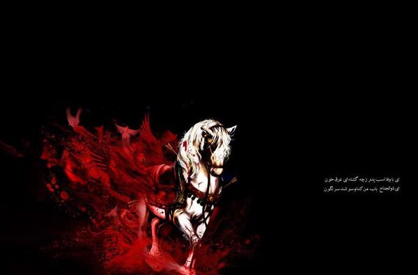 عکس اسب امام حسین ذوالجلال