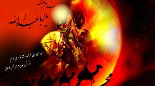 عکس اسب امام حسین ذوالجلال