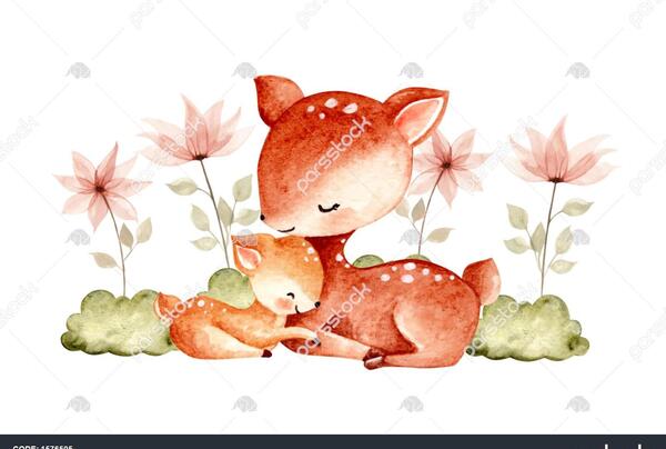 عکس بچه آهو نقاشی