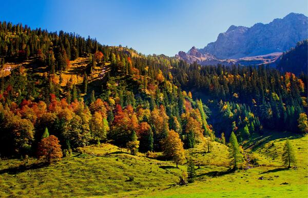 عکس طبیعت رنگارنگ