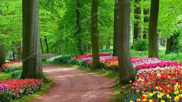 عکس طبیعت رنگارنگ
