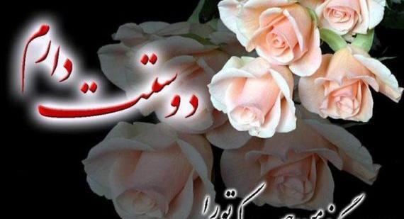 عکس گل زیبا و جذاب