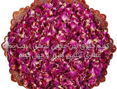 عکس گل سرخ خشک شده