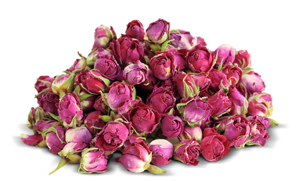 عکس گل سرخ خشک شده