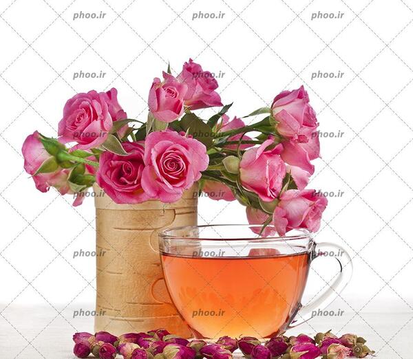 عکس گل سرخ خشک شده