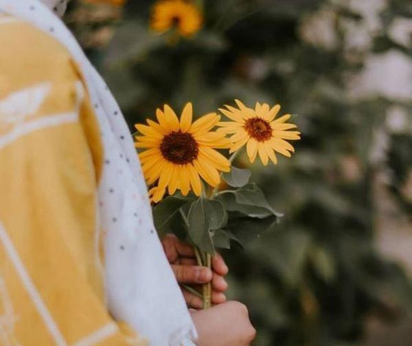 عکس های نصف صورت پروفایل